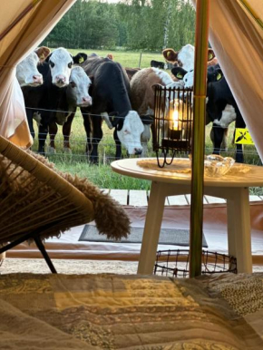 Mickels bondgårdsglamping in Gottby